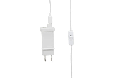 Kungsberget-pöytävalaisin