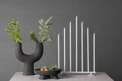 Björnfjället-pöytävalaisin