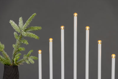 Björnfjället-pöytävalaisin