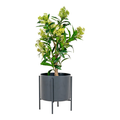 Skimmia tekokasvi, 75 cm - Mööpeli.com